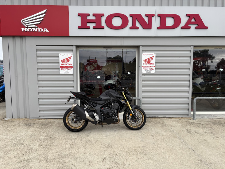HONDA HORNET 1000 SP - LE MANS