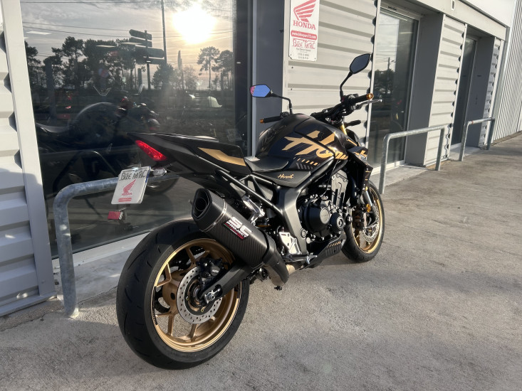 1000 HORNET SP - LE MANS