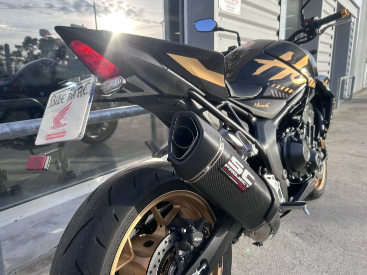 1000 HORNET SP - LE MANS