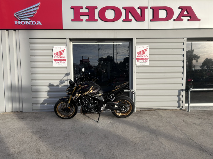 1000 HORNET SP - LE MANS